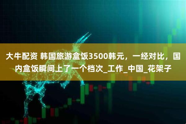 大牛配资 韩国旅游盒饭3500韩元，一经对比，国内盒饭瞬间上了一个档次_工作_中国_花架子
