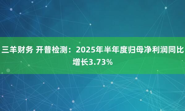 三羊财务 开普检测：2025年半年度归母净利润同比增长3.73%