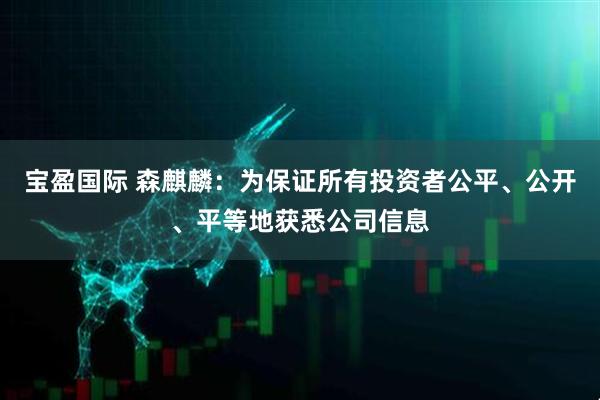 宝盈国际 森麒麟：为保证所有投资者公平、公开、平等地获悉公司信息