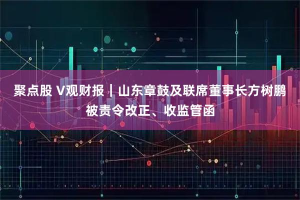 聚点股 V观财报｜山东章鼓及联席董事长方树鹏被责令改正、收监管函