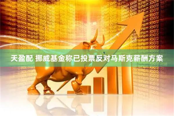 天盈配 挪威基金称已投票反对马斯克薪酬方案